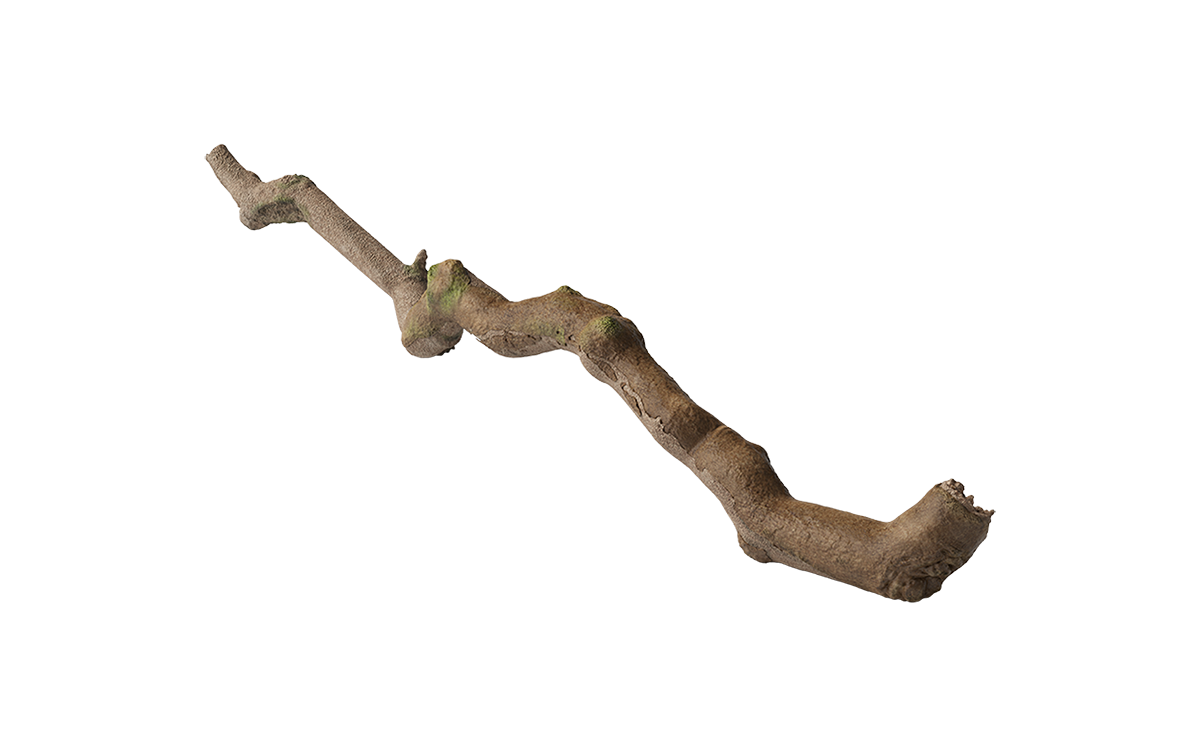 Inicio + javierdejuanarquitectura.com